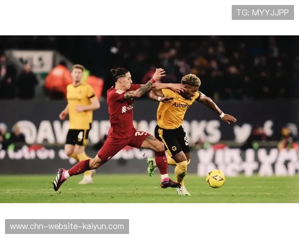 英格兰足总杯第5轮对阵公布，纽卡vs曼城狼队vs利物浦3月7日进行